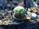 Top 5 Small Business Ideas to Start in 2026 with Low Investment
